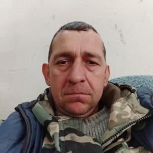 Андрей, 43 года, Ипатово
