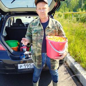 Парни в Северске: Станислав Дворников, 55 - ищет девушку из Северска