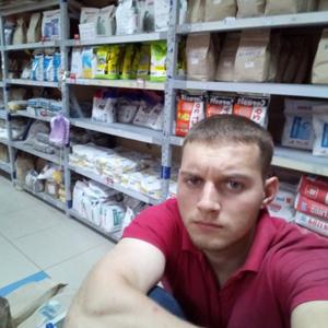 Михаил, 28 лет, Томск