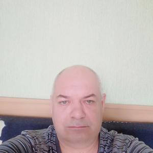 Дмитрий, 54 года, Краснодар