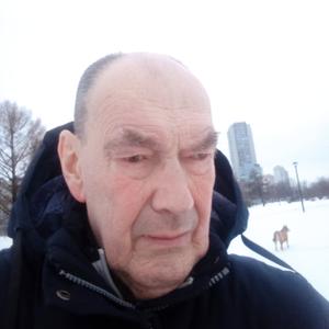Парни в Санкт-Петербурге: Александр Михайл, 71 - ищет девушку из Санкт-Петербурга