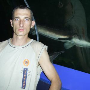 Виктор, 51 год, Белгород