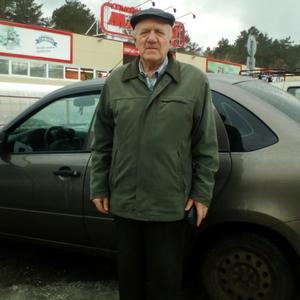 Игорь Николаев, 74 года, Тольятти