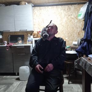 Серега, 49 лет, Киселевск