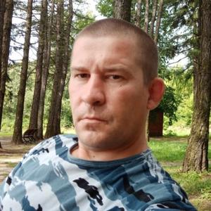 Владимир, 42 года, Нерехта