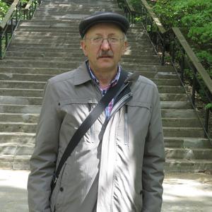 Сергей, 69 лет, Новосибирск
