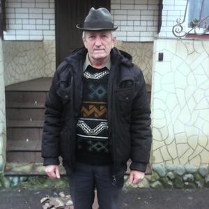 Александр, 69 лет, Воронеж