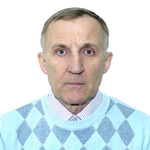 Виктор Щипанов, 74 года, Камышин