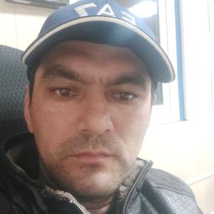 Серобиддиг, 33 года, Ставрополь