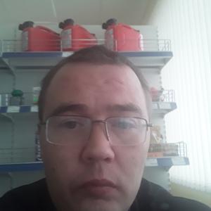 Сергей, 39 лет, Чудово