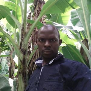 Dennis, 32 года, Nairobi