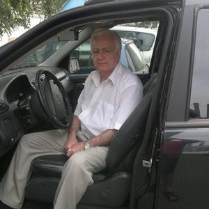 Ашот Минасян, 67 лет, Новосибирск