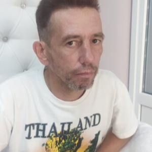 Алексей, 46 лет, Ефаево