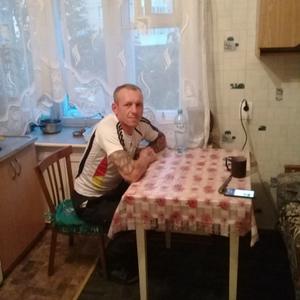 Роман, 44 года, Калининград