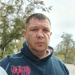 Парни в Волгограде: Михаил, 41 - ищет девушку из Волгограда