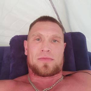 Алексей, 38 лет, Короча