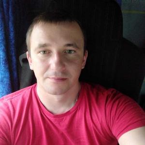 Алексей, 39 лет, Чехов