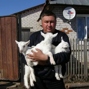 Андрей, 55 лет, Йошкар-Ола
