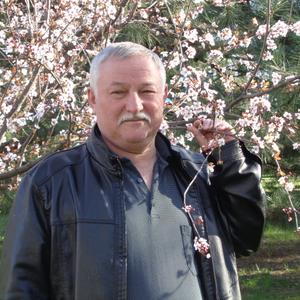 Пётр, 66 лет, Железногорск
