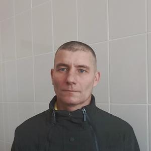 Владимир, 42 года, Ижевск