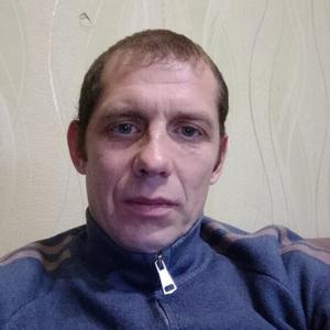 Будников Дмитрий, 36 лет, Саратов