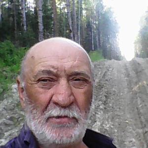 Парни в Богашево: Валерий, 69 - ищет девушку из Богашево