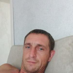 Андрей, 41 год, Красногвардейское