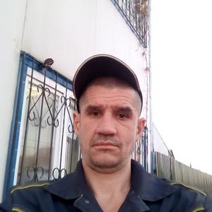 Димка, 43 года, Тольятти