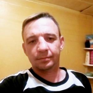Виталик, 40 лет, Вологда
