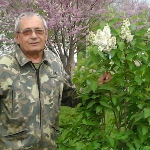 Вит, 74 года, Краснодар