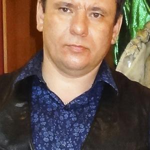 Сергей Евлашкин, 50 лет, Рязань