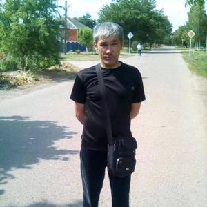 Сергей Владимирович, 52 года, Усть-Лабинск