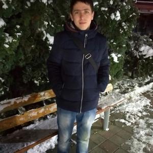 Алексей, 35 лет, Черновцы