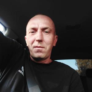 Илья, 42 года, Саранск