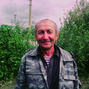 Виктор, 67 лет, Ростов-на-Дону