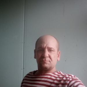 Дмитрий Колесов, 41 год, Архангельск