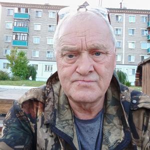 Виктор, 63 года, Зеленодольск