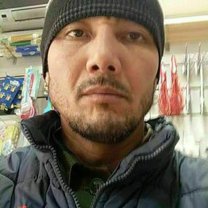 Elbek, 38 лет, Ташкент