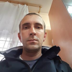 Павел, 37 лет, Устюжна