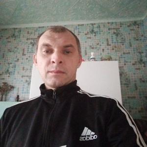 Андрей Полушкин, 37 лет, Красково
