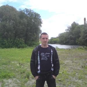 Сергей Захаров, 38 лет, Тула