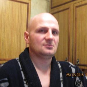 Дмитрий Олейник, 48 лет, Лодейное Поле