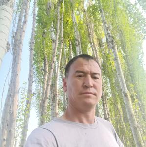 Хасан, 33 года, Ташкент