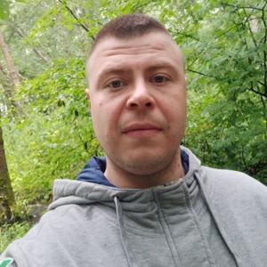 Владимир, 32 года, Череповец