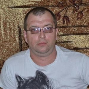 Алексей Антонов, 43 года, Кострома