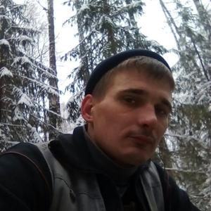 Андрей Двинских, 35 лет, Киров