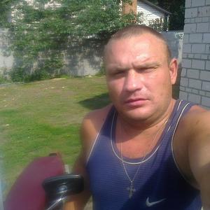 Александр Щербаков, 38 лет, Гомель