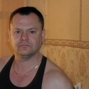 Парни в Всеволожске: Андрей Ильин, 53 - ищет девушку из Всеволожска