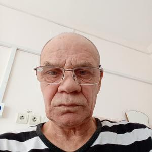 Владимир, 63 года, Киреевск