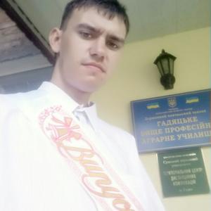 Денис, 24 года, Киев